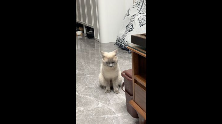 测试竖版视频截图