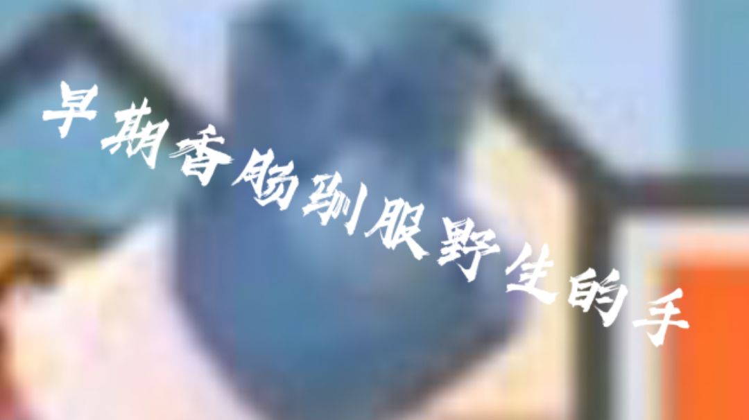 video-2358821