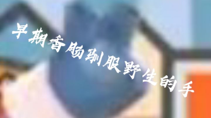 这手十分真贵截图