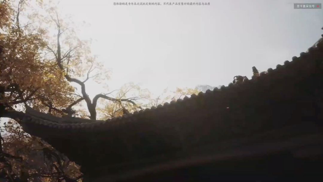 video-3641366