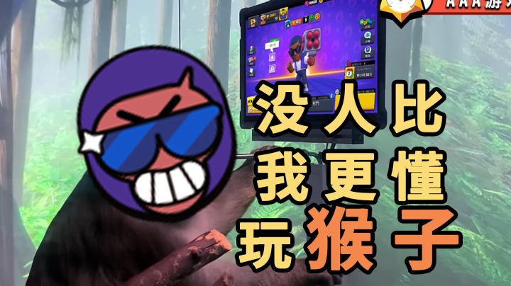 荒野乱斗：真猴子教你玩布洛克合理吗？截图