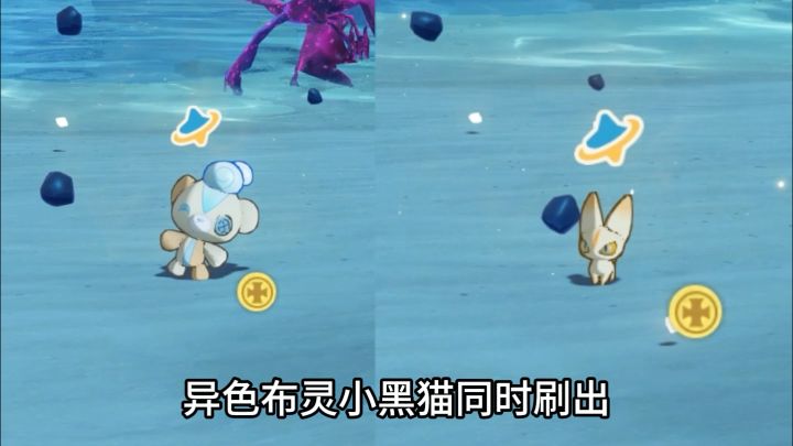 如何刷异色布灵?如何刷异色小黑猫?S4噼啪鸟速刷方法分享!截图