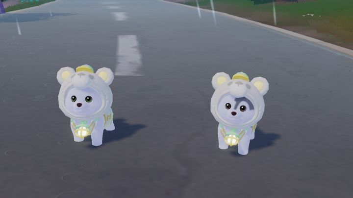 这也太可爱了趴!!!截图
