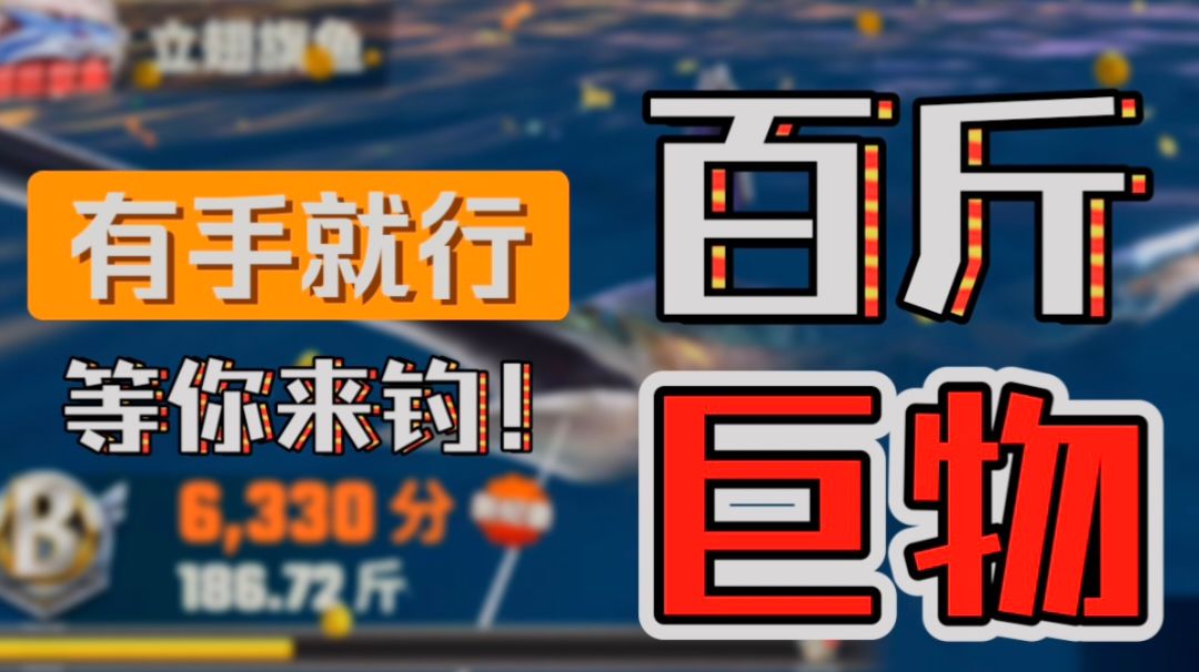 video-4039779