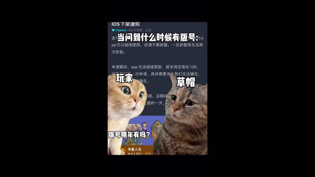 video-3820994