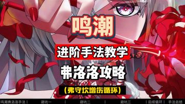 弗洛洛进阶手法教学，循环伤害大幅提升，鸣潮2.5攻略。