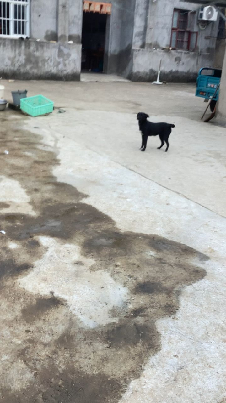 这布鲁斯居然不理我😡白养了😡😡😡截图