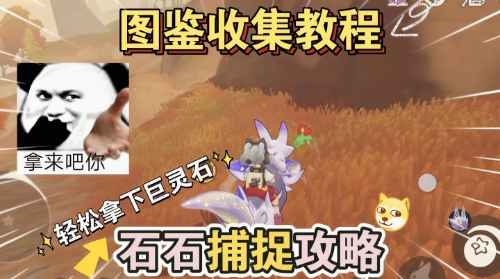隐藏精灵“石石”捕捉教程,不用再等命定花种刷新!截图