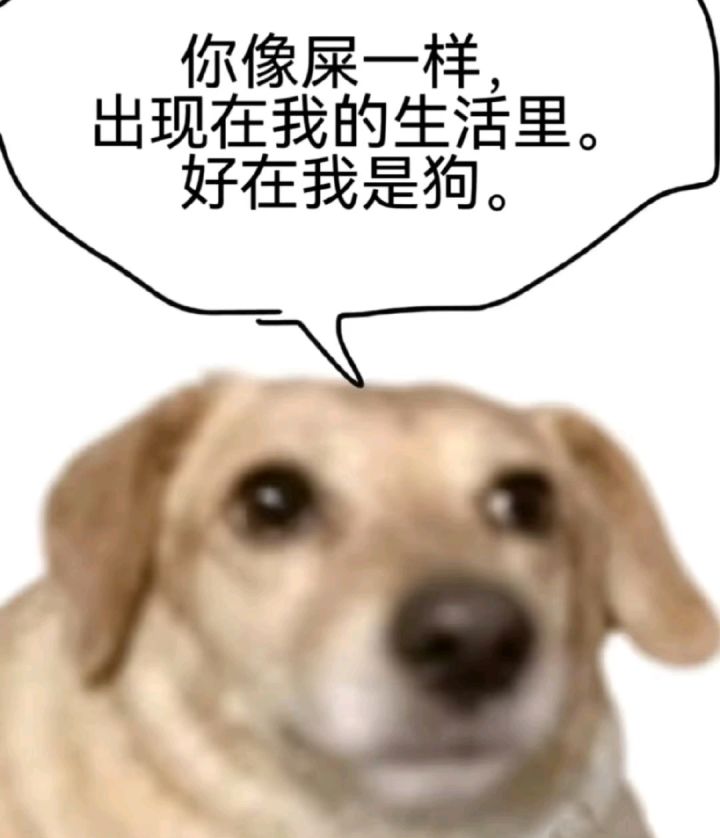 皇后帽截图