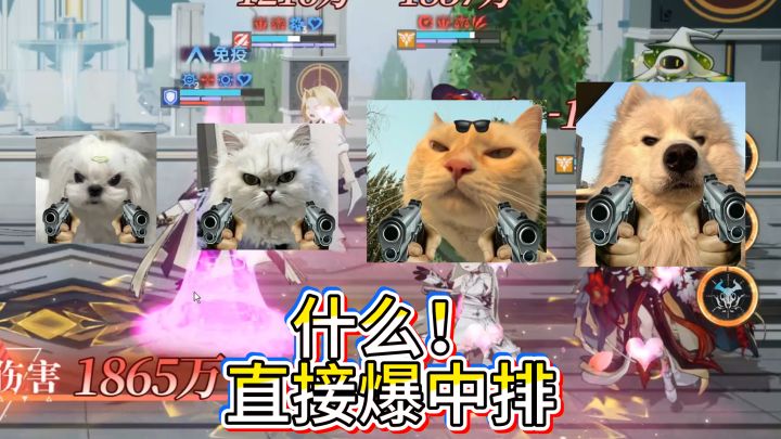 凯撒截图
