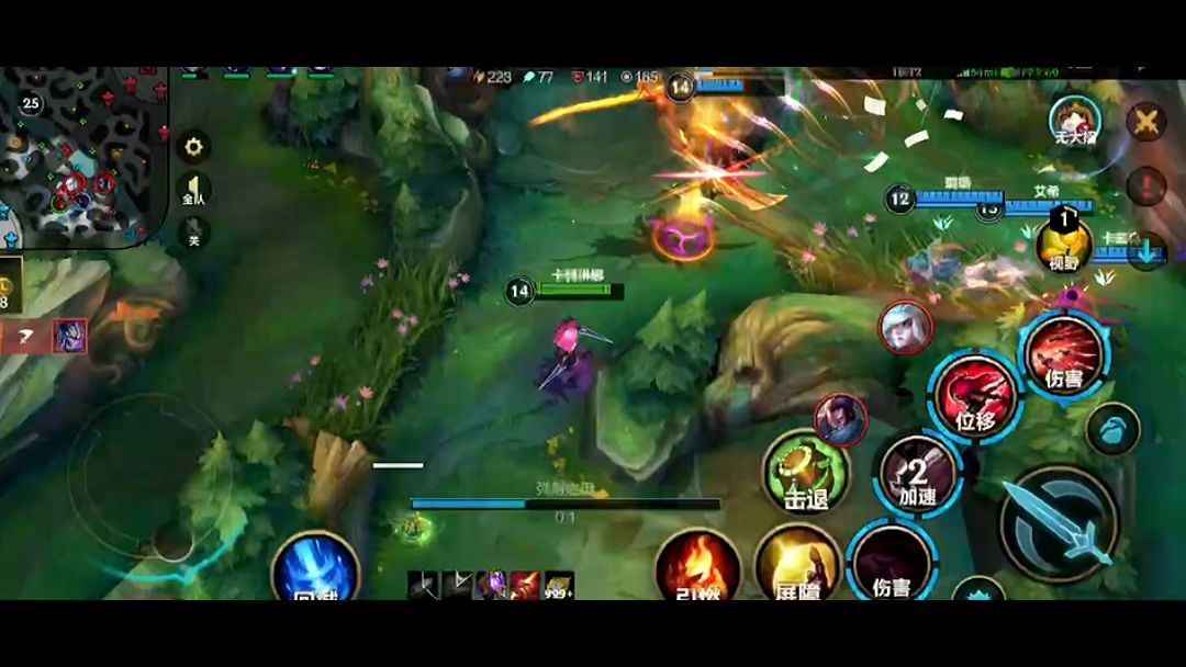 video-3871249