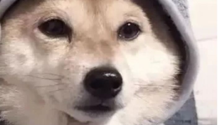为什么不可以修炼了?截图