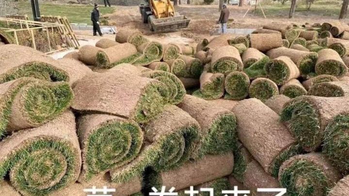 斯嘉蒂精彩逆袭截图