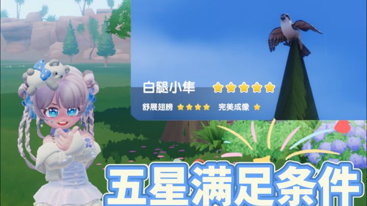 五星白腿小隼拿下截图