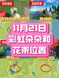 心动小镇11月21日彩虹朵朵和花束位置