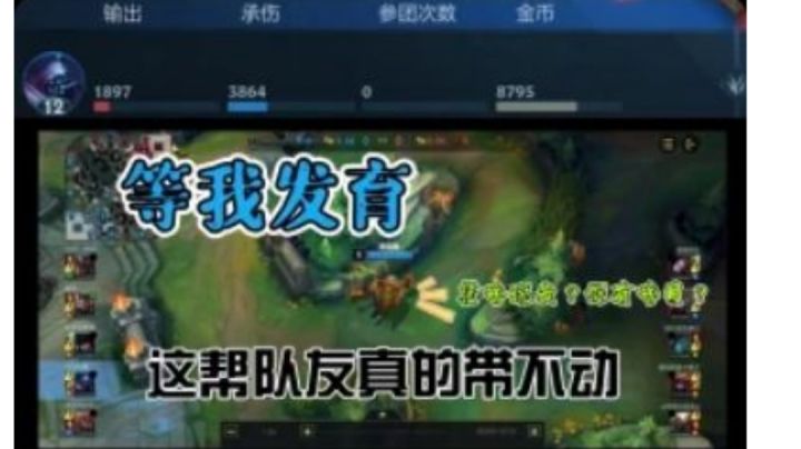 英雄联盟手游你为什么上不去分系列，谁说输出1800不算英雄截图