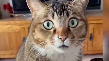 怎么更轻松的打噩梦图