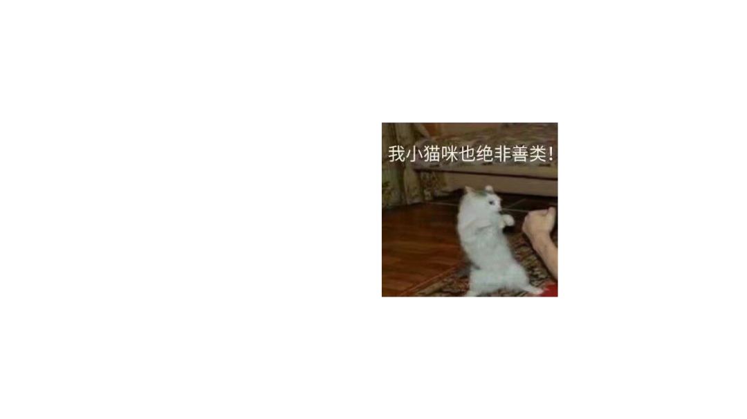 video-2658723
