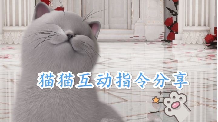 ［以闪亮之名］猫猫互动指令正确输入截图