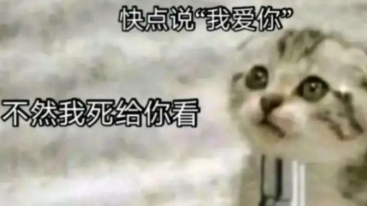“风吹过头发的时候，你也会为我心动嘛？”截图
