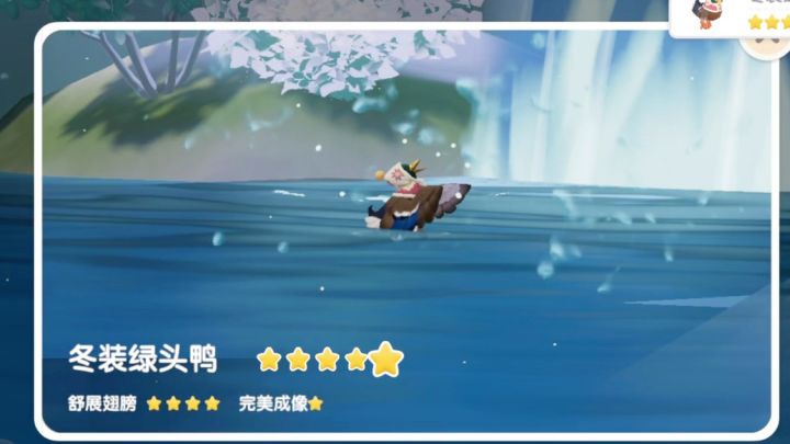 新鸟五星攻略截图