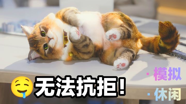 无法抗拒‼️😼超可爱小猫咪💕交友恋爱🎉派对轰趴🏖打造你的梦中乐园‼️截图