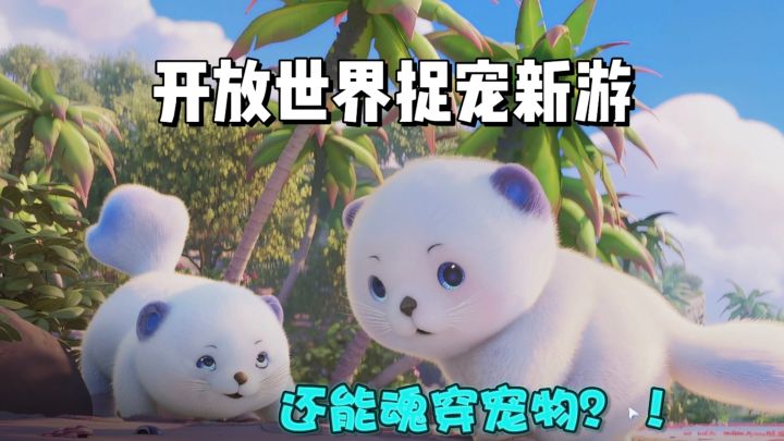 不仅仅是可爱 没想到捉宠界都能“魂穿”宠物啦!截图