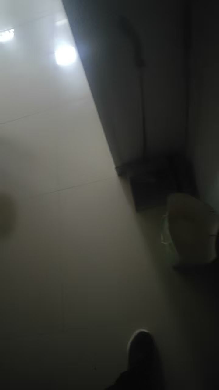 video-5352005