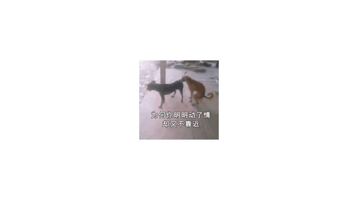 水晶描体大师。截图