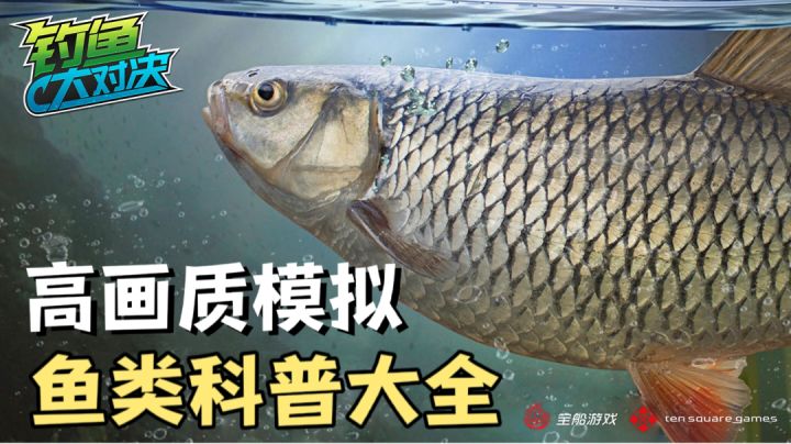 高画质的钓鱼模拟器?鱼类百科,我要开始养老了!截图