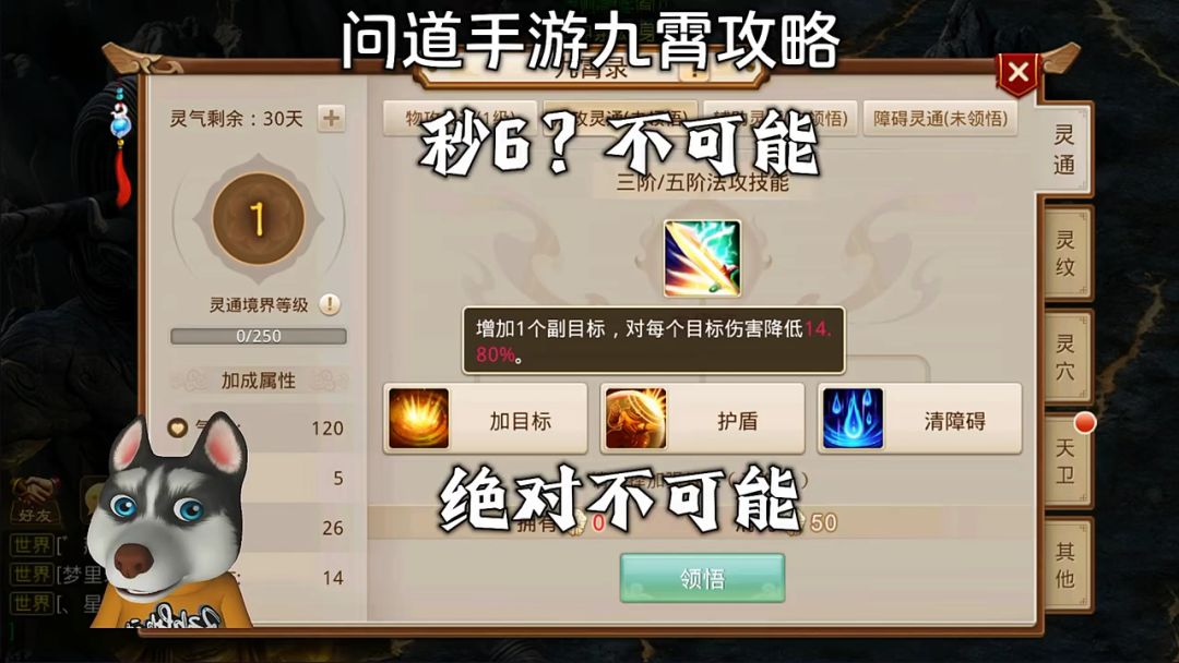 video-5251265