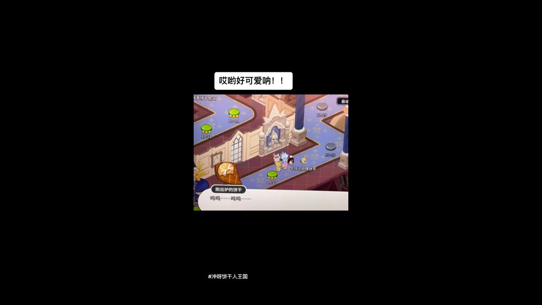 video-3977976