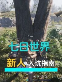 七日世界新人必备入坑指南