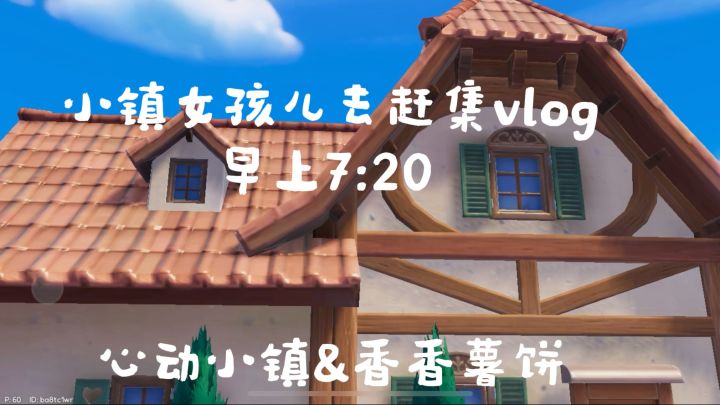 小镇女孩儿赶集日常vlog截图