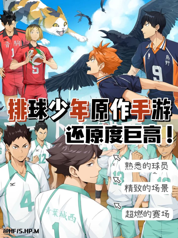 还以为是排球少年的番外?原来是出手游啦🏐截图