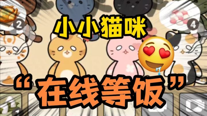 小猫饿了怎么办❓在线等❗截图