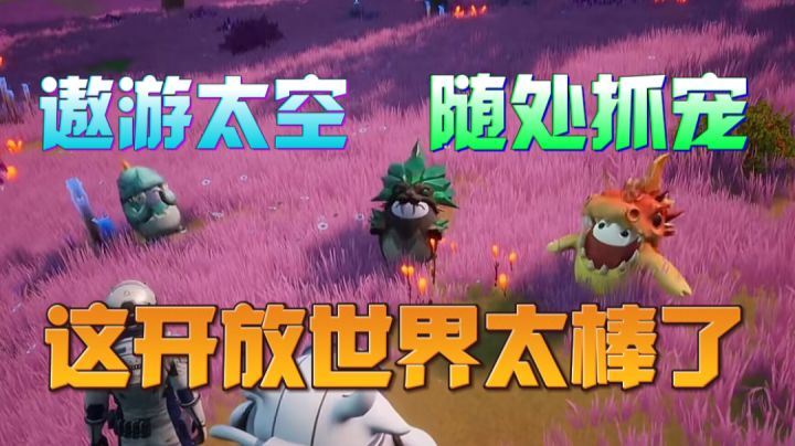 遨游太空？开放世界抓宠物？《创造吧！我们的星球》太有意思了！截图