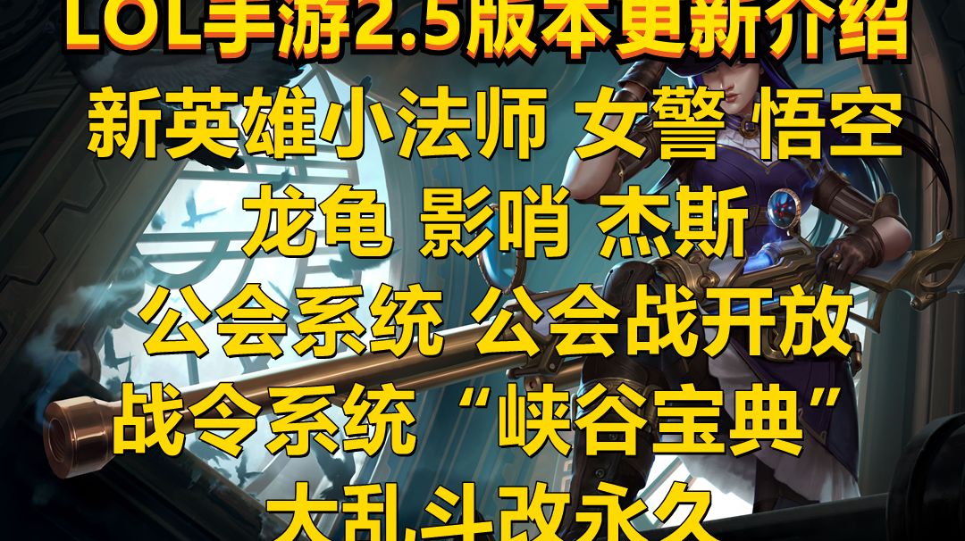 video-2221639