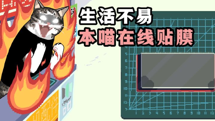 生活不易，本喵在线贴膜，挣罐头钱了❗截图