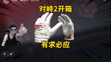 对峙2开箱有求必应！