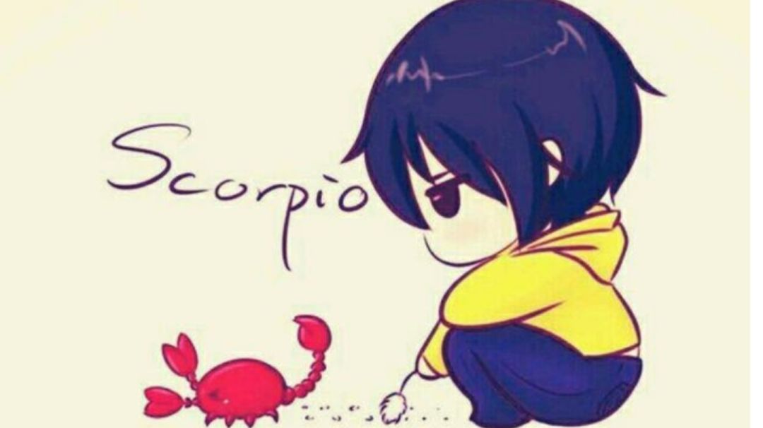 video-3105508