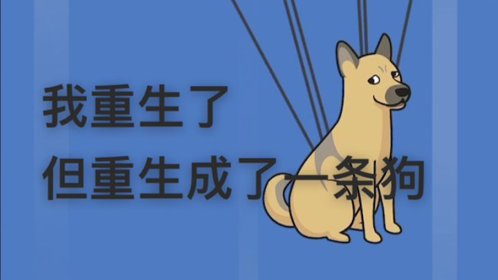 好小众的体验,第一次开启了自己的狗生截图