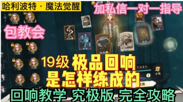 助你超高概率洗出19级回响！满级+3极品回响是怎样练成的？沉浸式攻略带你玩转回响「哈利波特魔法觉醒」
