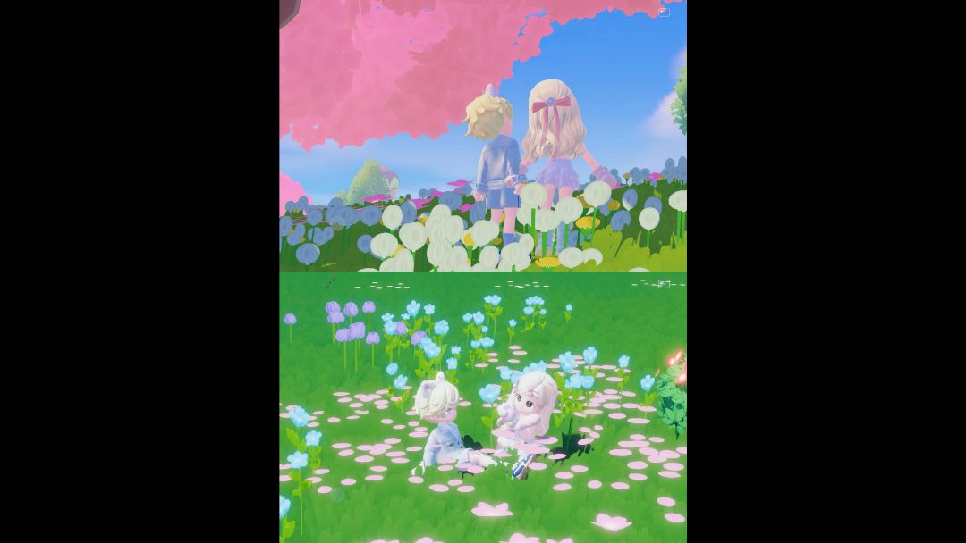 video-5580501