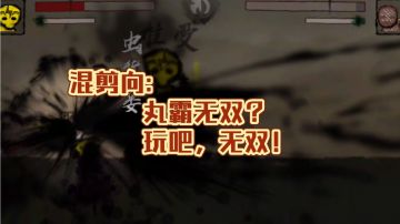 〖混剪〗《丸霸无双》主角的矛全踩点上了#steam游戏大合集#