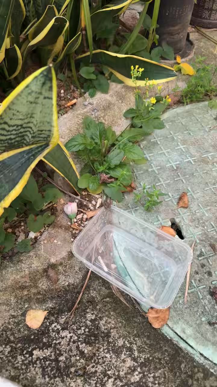 video-5836064