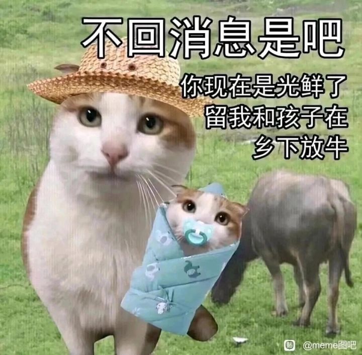 16区改造日记⑦截图