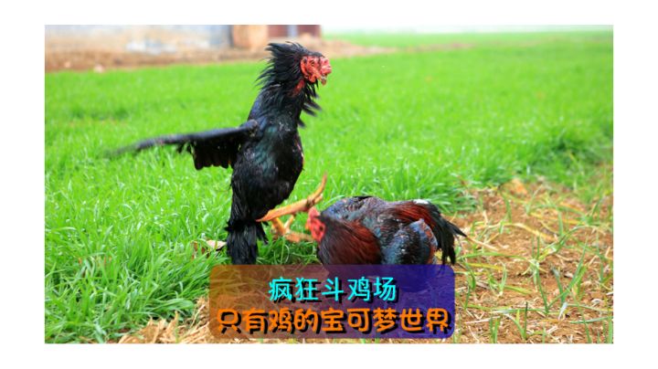 【新游关注】打发碎片时间的精品国风游戏#无限视频创作月#截图