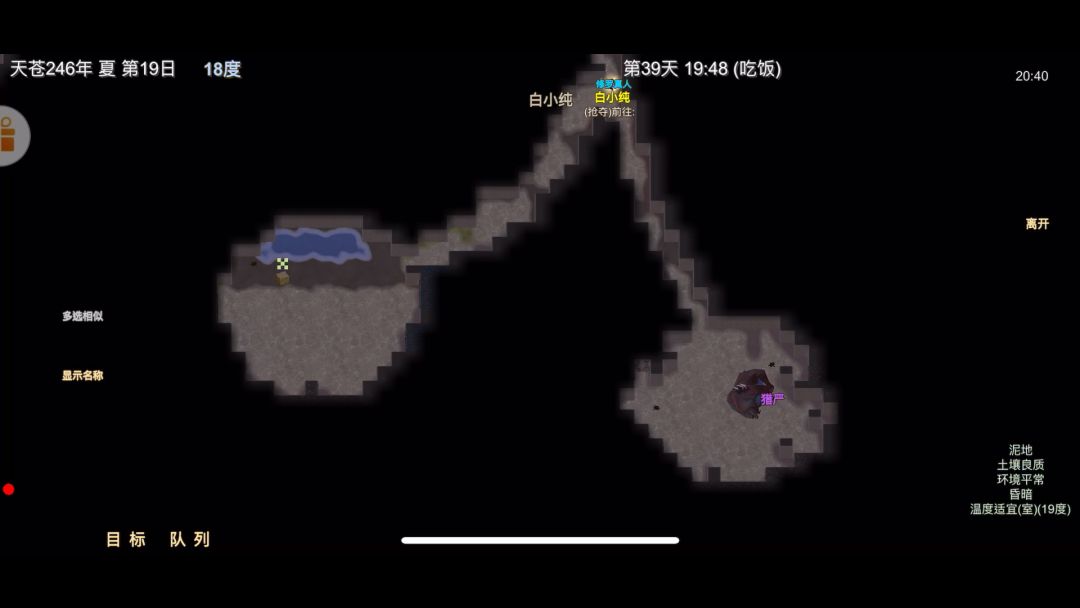 video-3936494