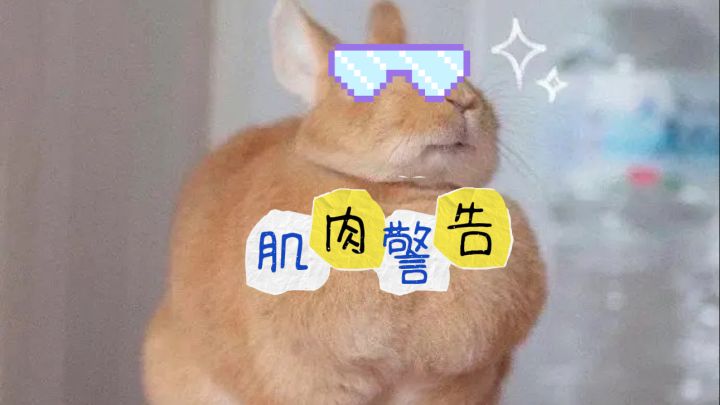 动物王者zooba截图